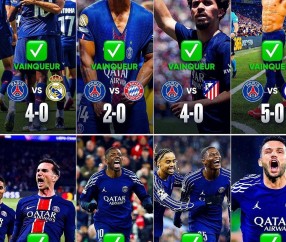 英足总杯赛程积分排名-凯时平台