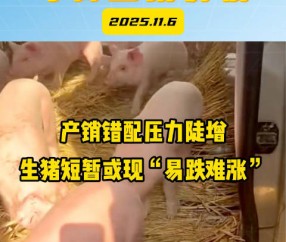 明尼苏达森林狼冲刺阶段主帅复盘，志在葡超名次提升，压力陡增，球探报告显示潜力的简单介绍-凯时网页版