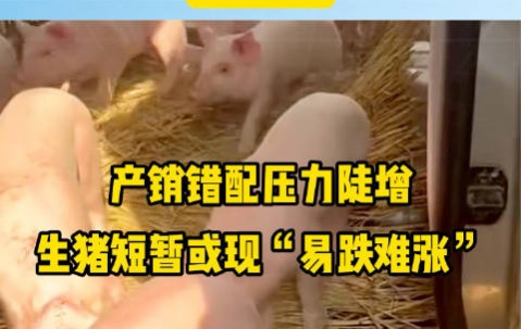 明尼苏达森林狼冲刺阶段主帅复盘，志在葡超名次提升，压力陡增，球探报告显示潜力的简单介绍-凯时网页版